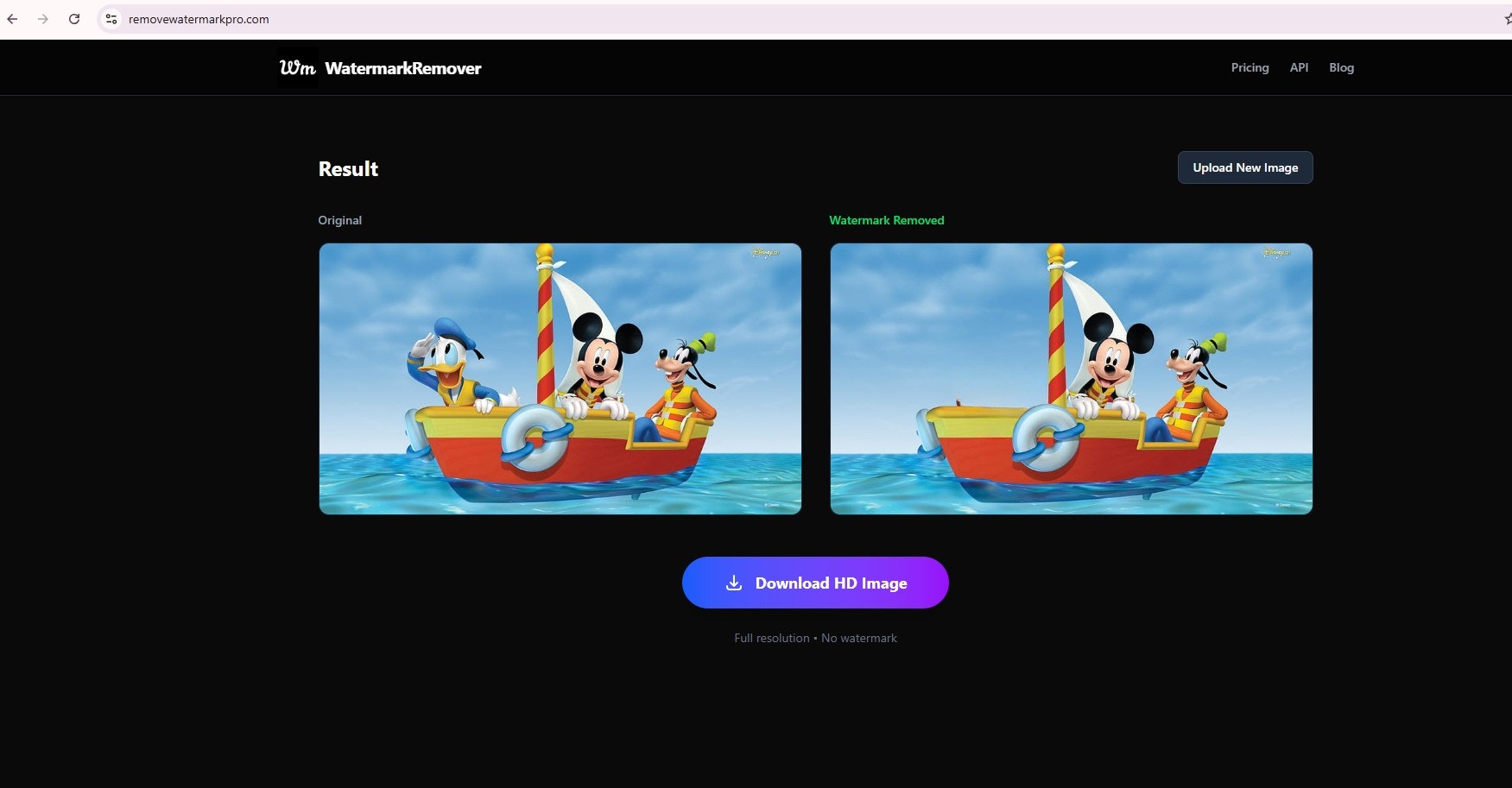 Free Watermark Remover - Main product screenshot demonstrating key features and user interface