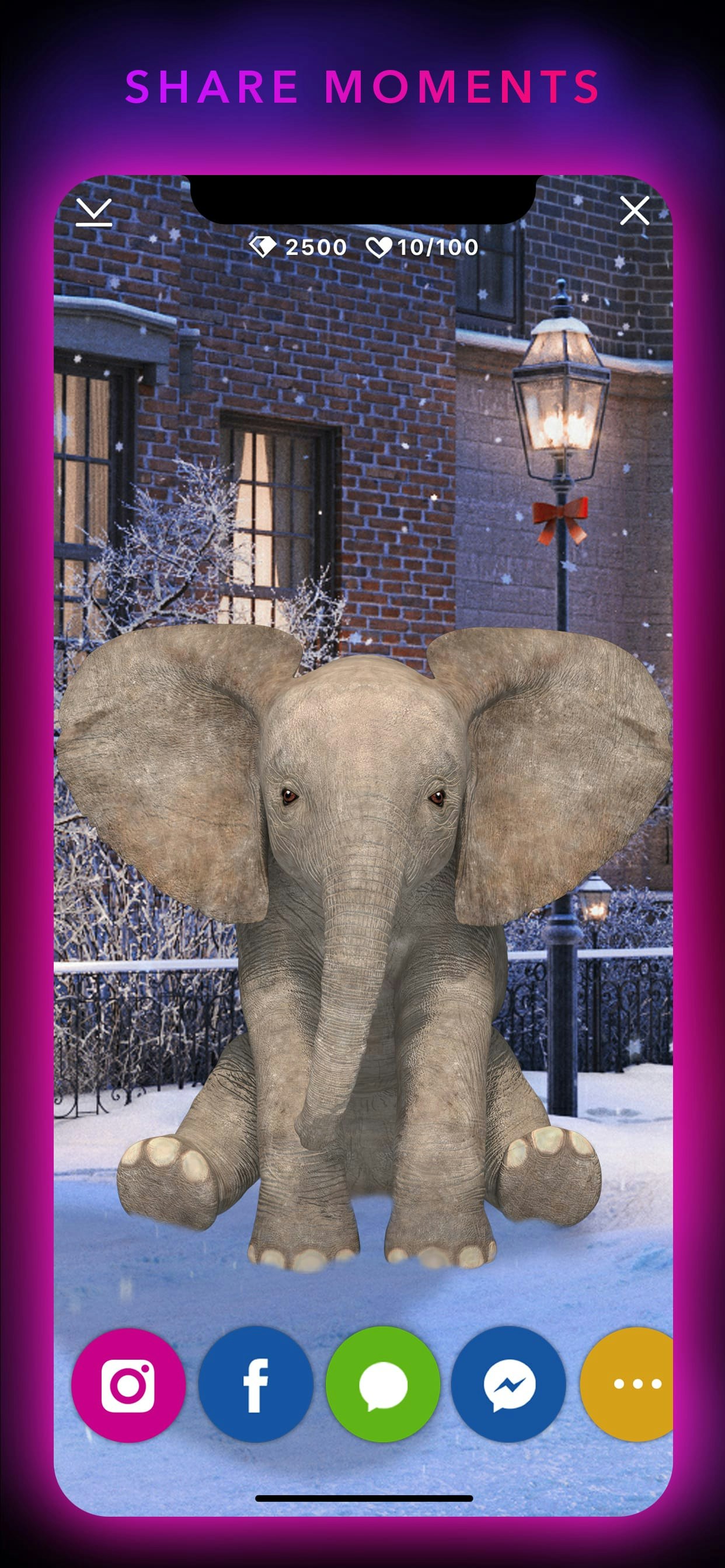 Animar 2.0 gallery image