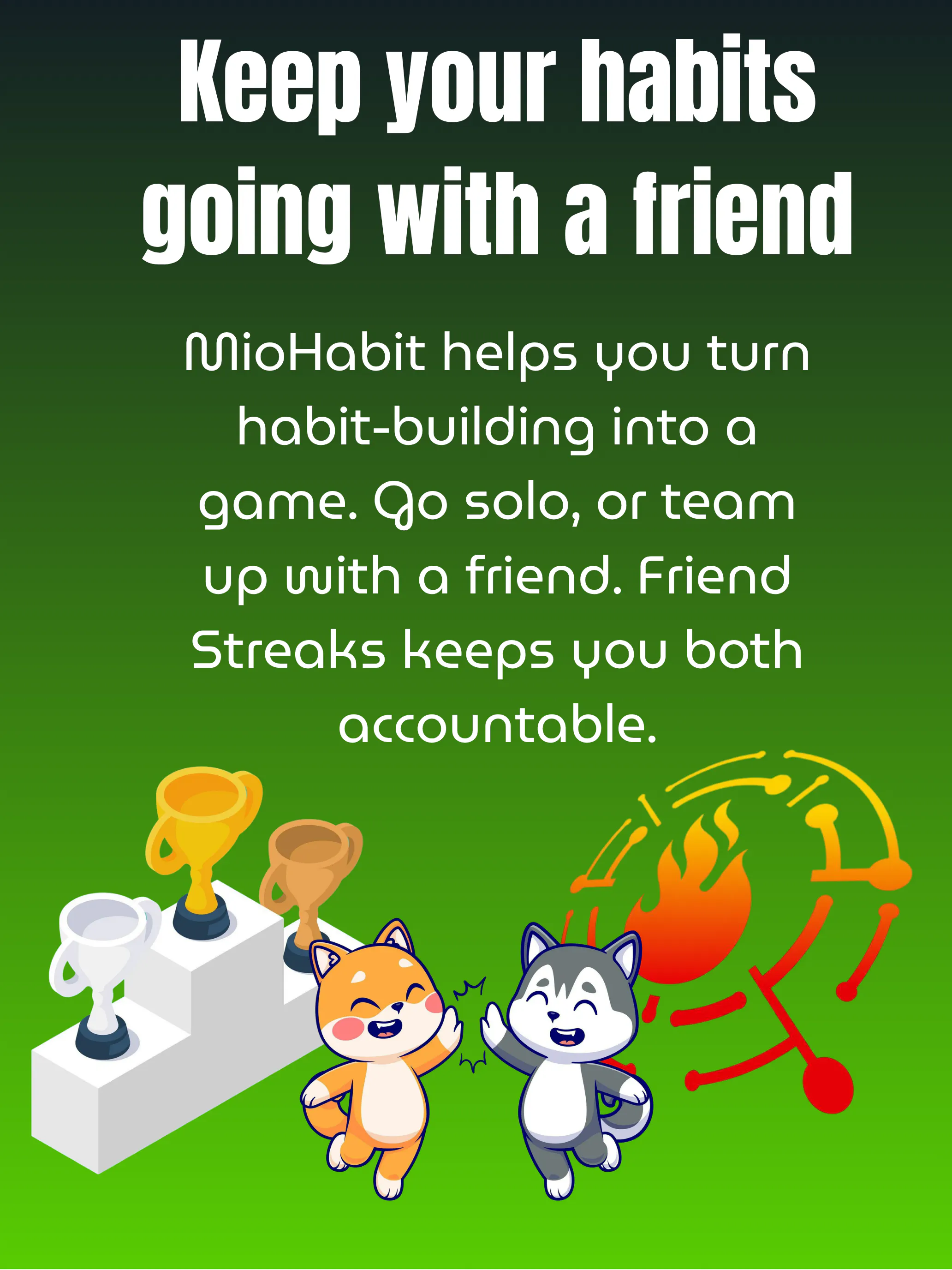 Miohabit gallery image