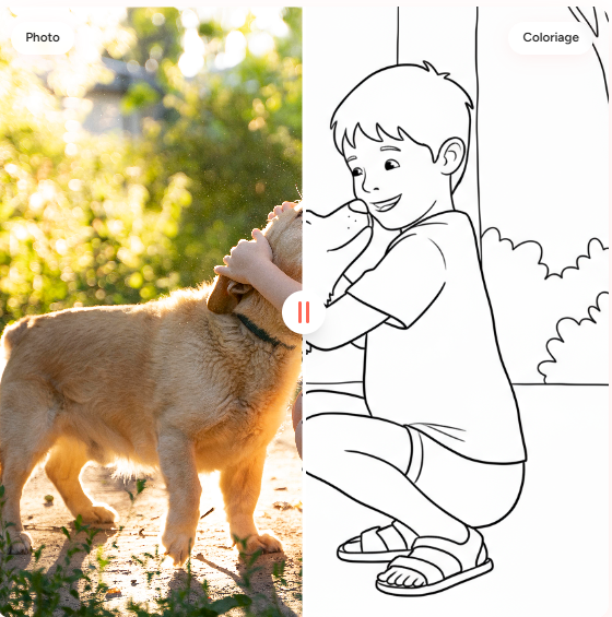 Raymond Le Crayon - Main product screenshot demonstrating key features and user interface