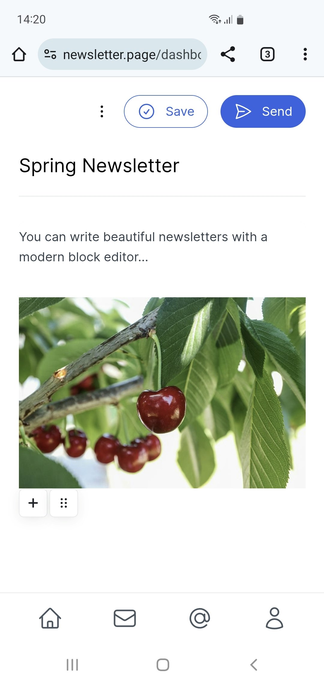 Media Newsletter.page 5
