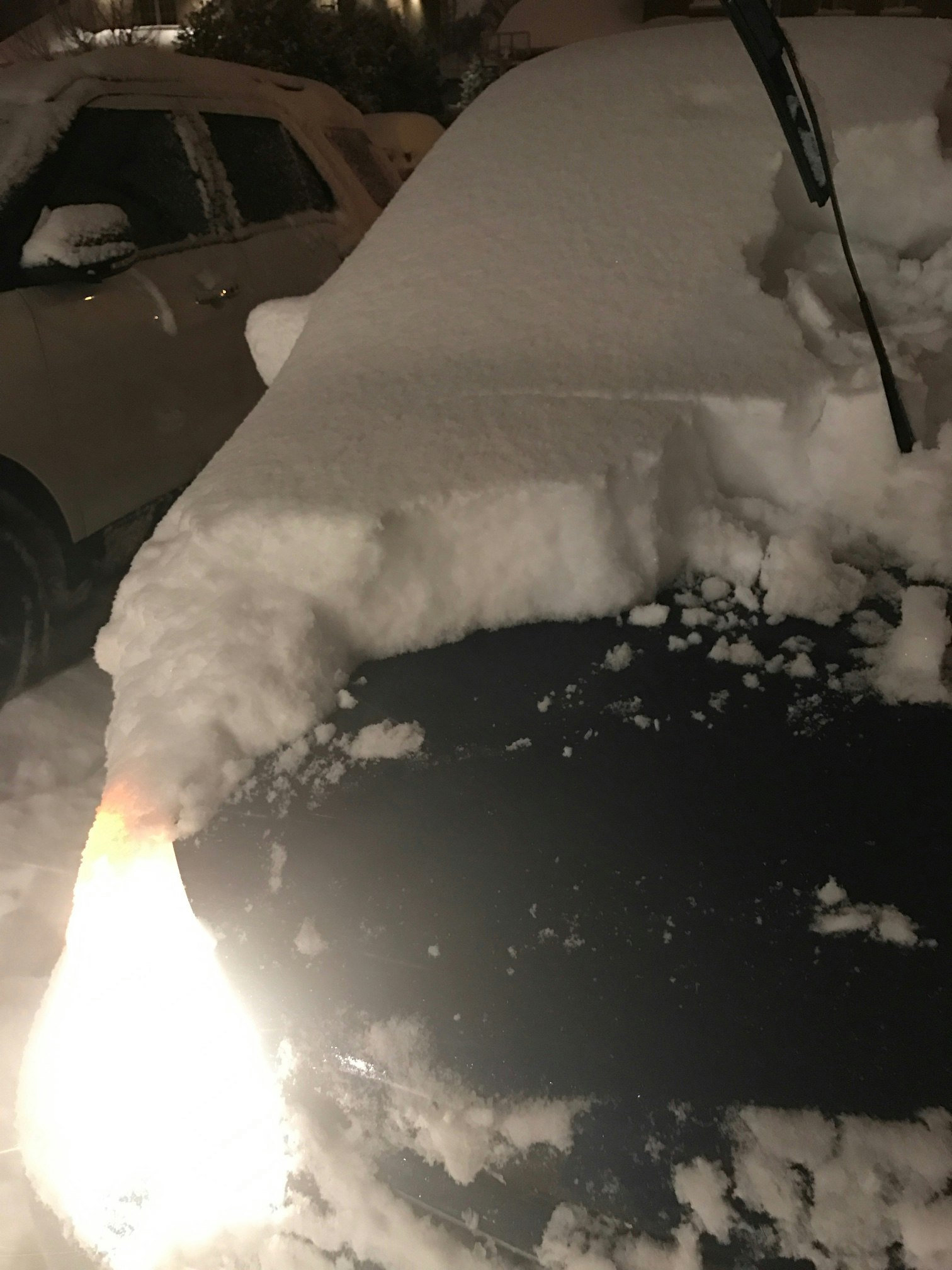 Easy Riser gallery image