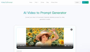 Video to Prompt gallery image