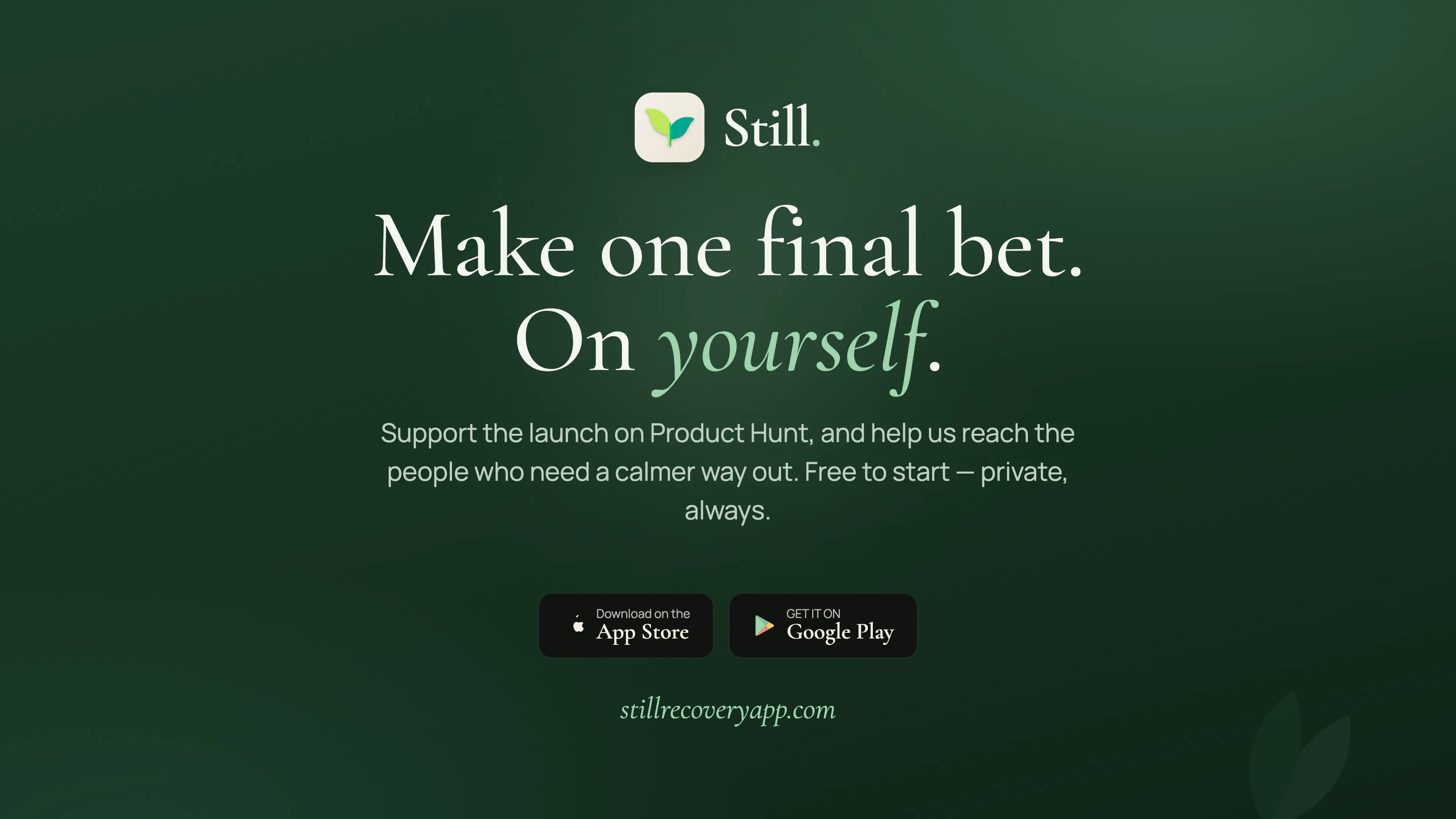 Still  gallery image