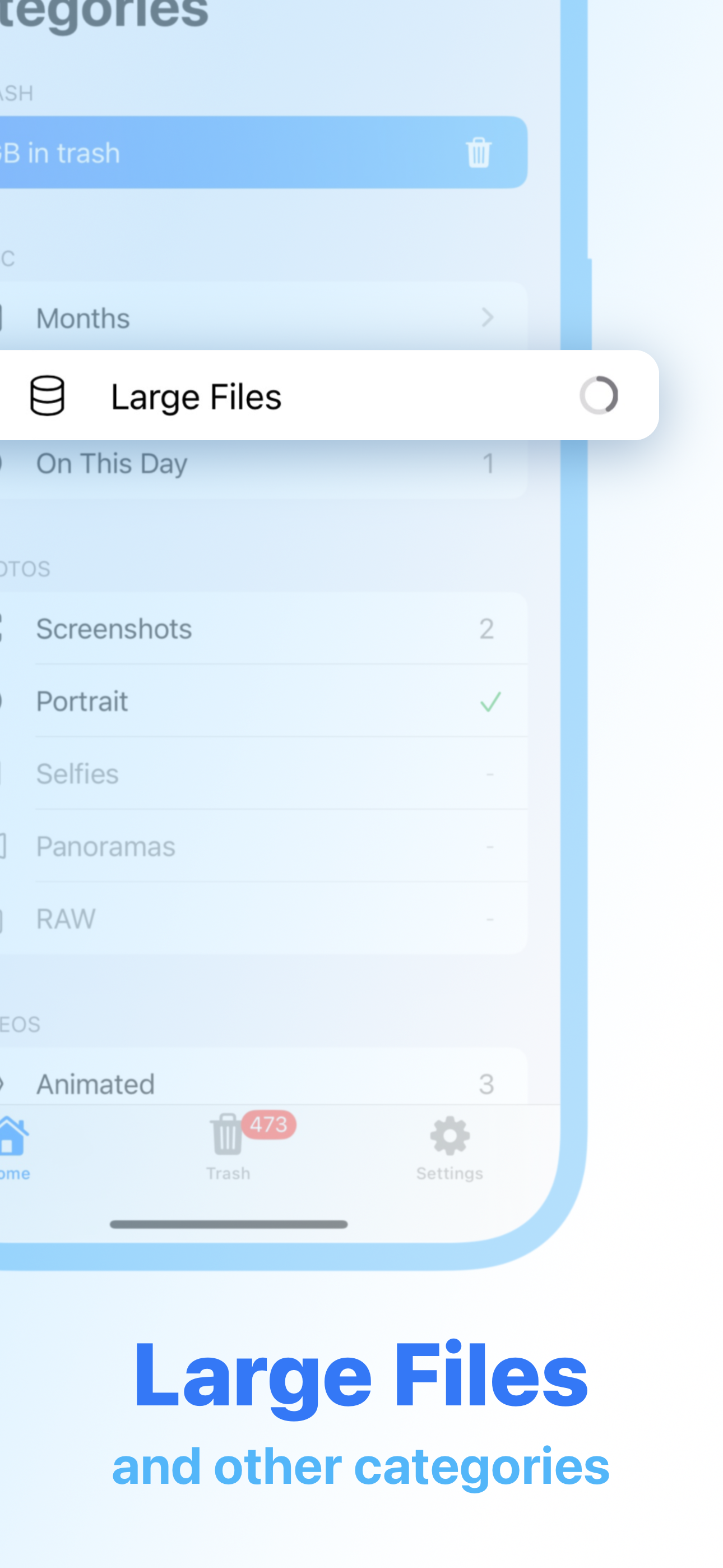 Pulire - Taglia i costi iCloud ripulendo la tua galleria media 7