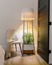 Annaboto gallery image