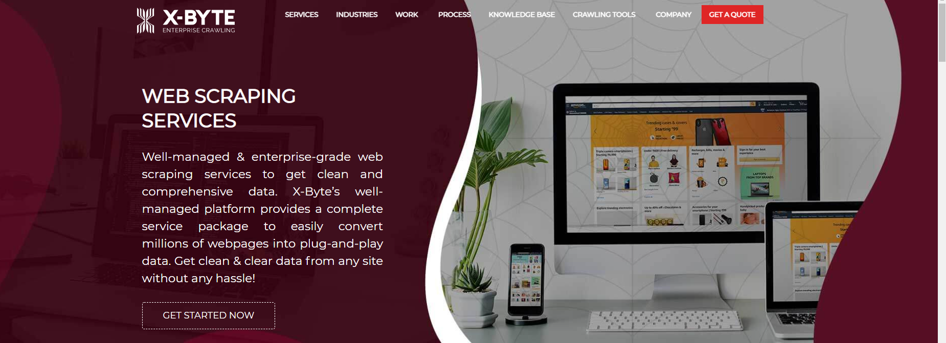 Web Scraping Services 