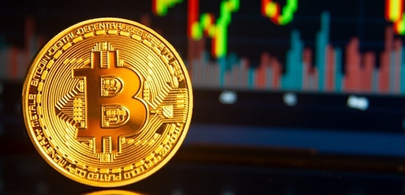cryptocurrency MLM 소프트웨어 개발 - Comfygen의 Smart MLM 소프트웨어로 비즈니스를 개조하십시오 미디어 8
