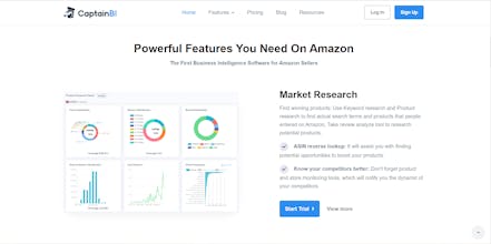 Captain BI gallery image