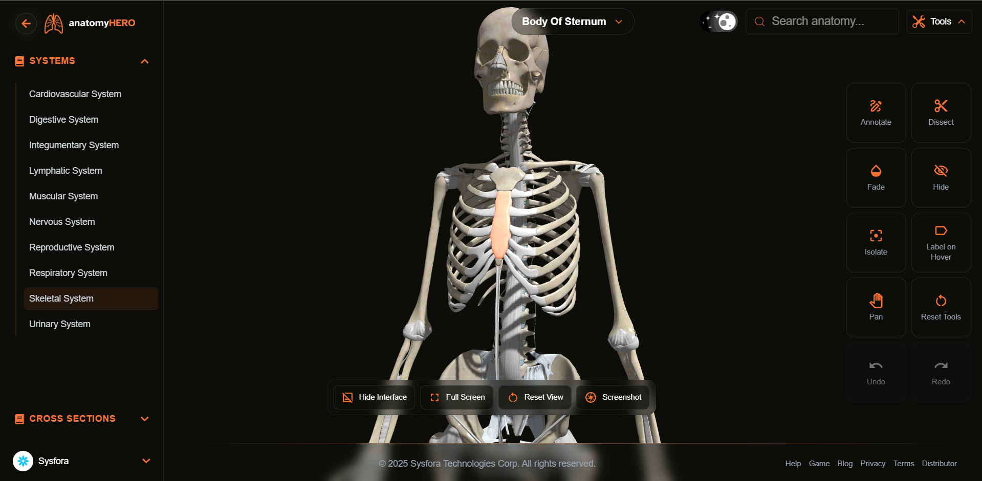 anatomyHERO gallery image