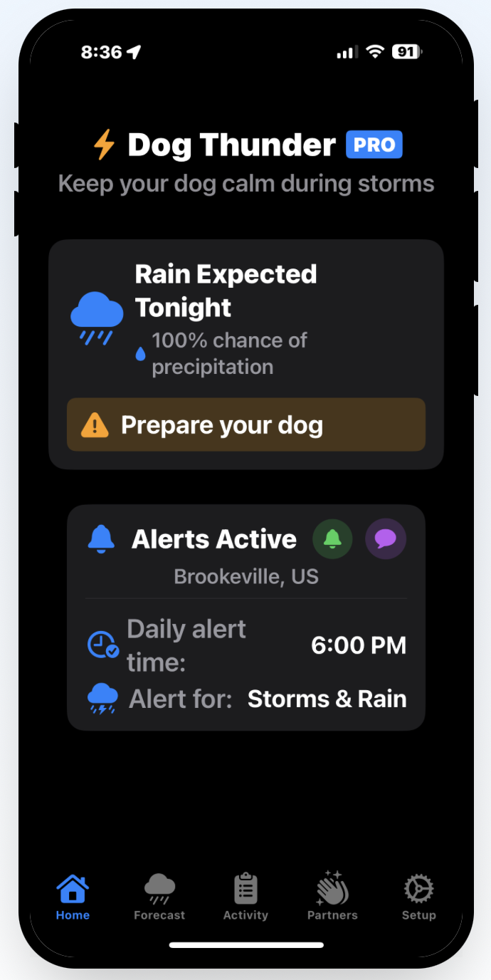 Приложение для iOS Dog Thunder - Приготовьте свою тревожную собаку к ночным штормам медиа 2