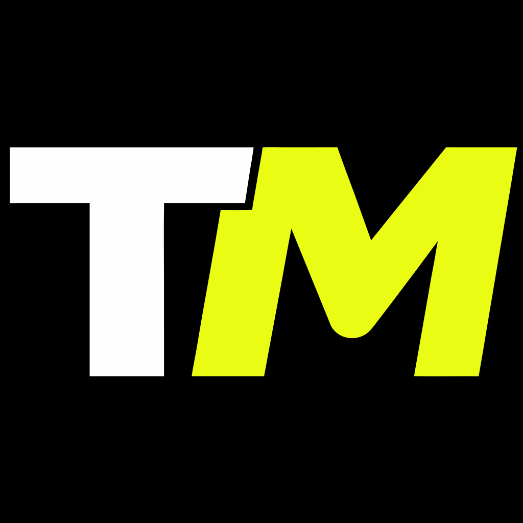 TheMagnifier.ai logo