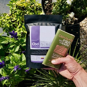 CBD Chocolates