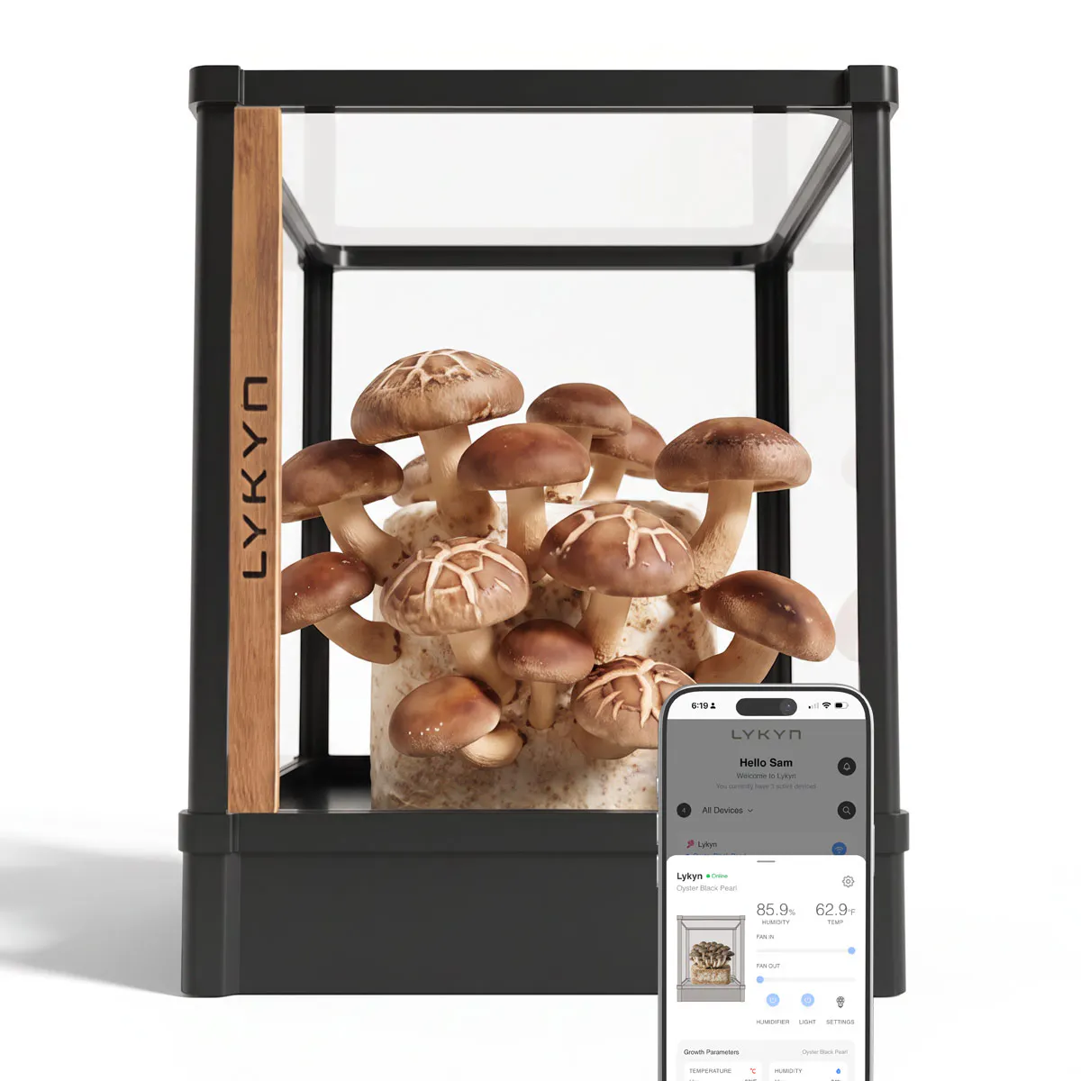 Lykyn Smart Mushroom Grow Box gallery image