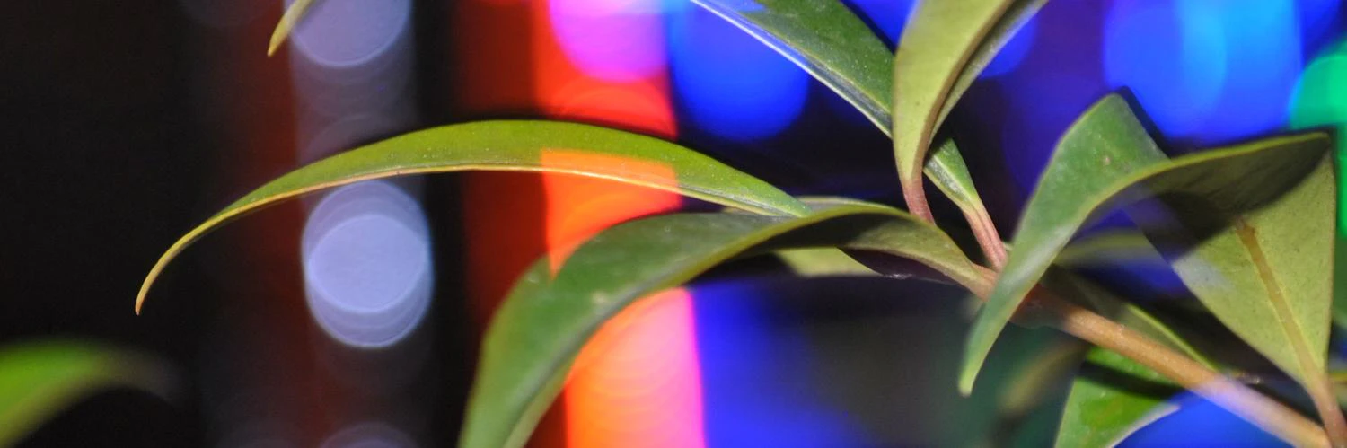 Jorge Guerrero cover