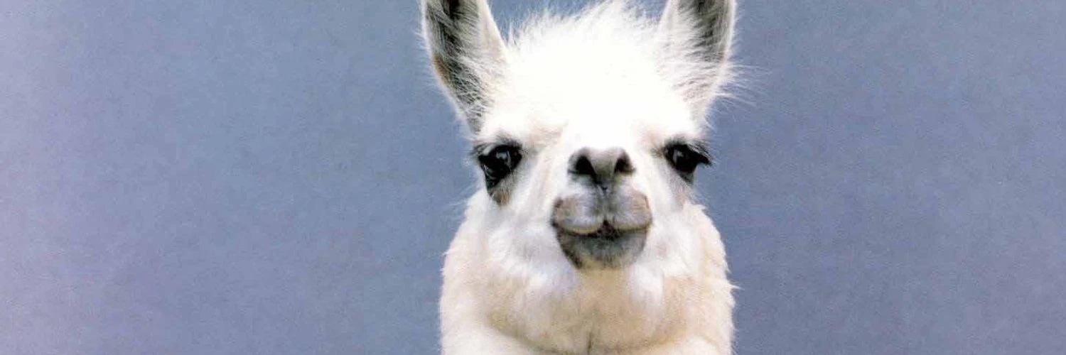 Jonas Drotleff cover