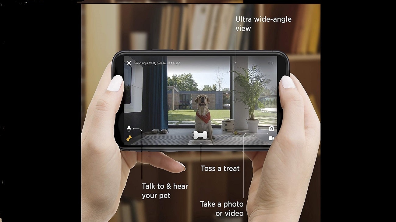 PetCube 물기 2 미디어 1