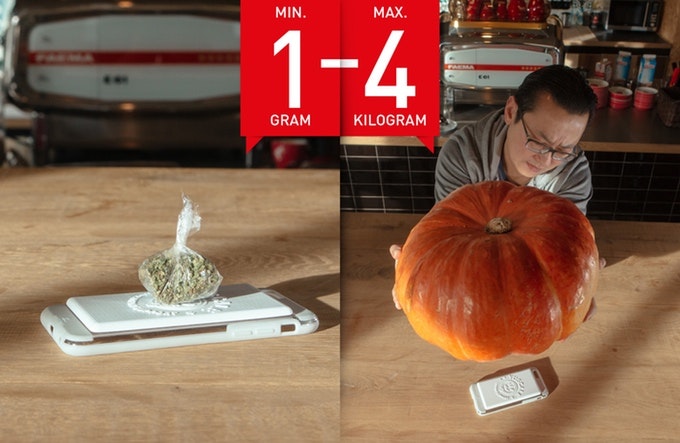 YuScale GO! gallery image