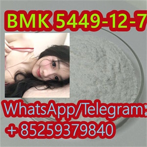 Manufactory Supply BMK 5449-12-7 