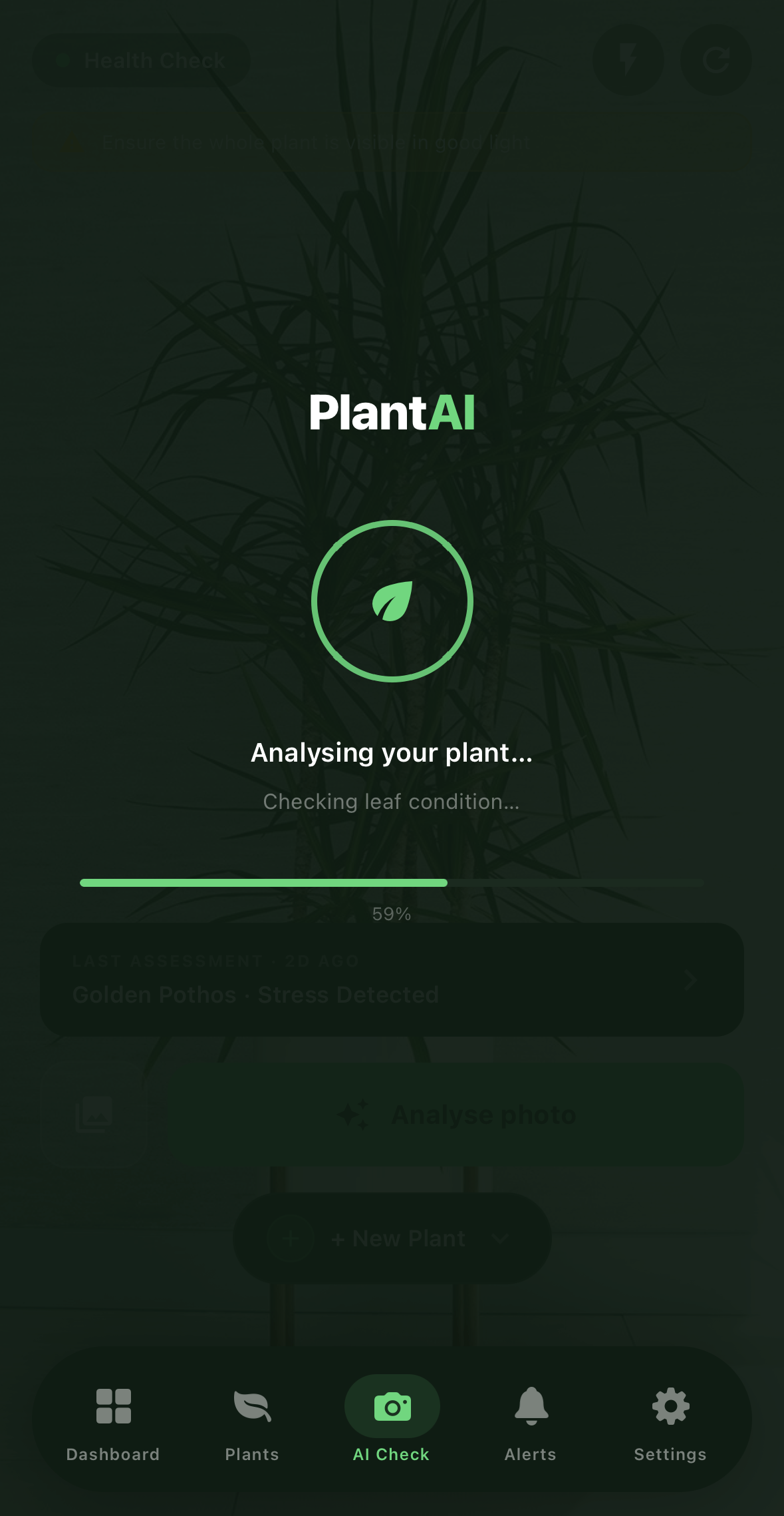 PlantAI - Plant Health Tracker gallery image