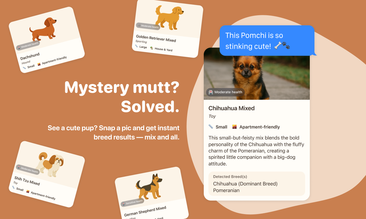 DogPic - Identify any dog breed instantly media 4