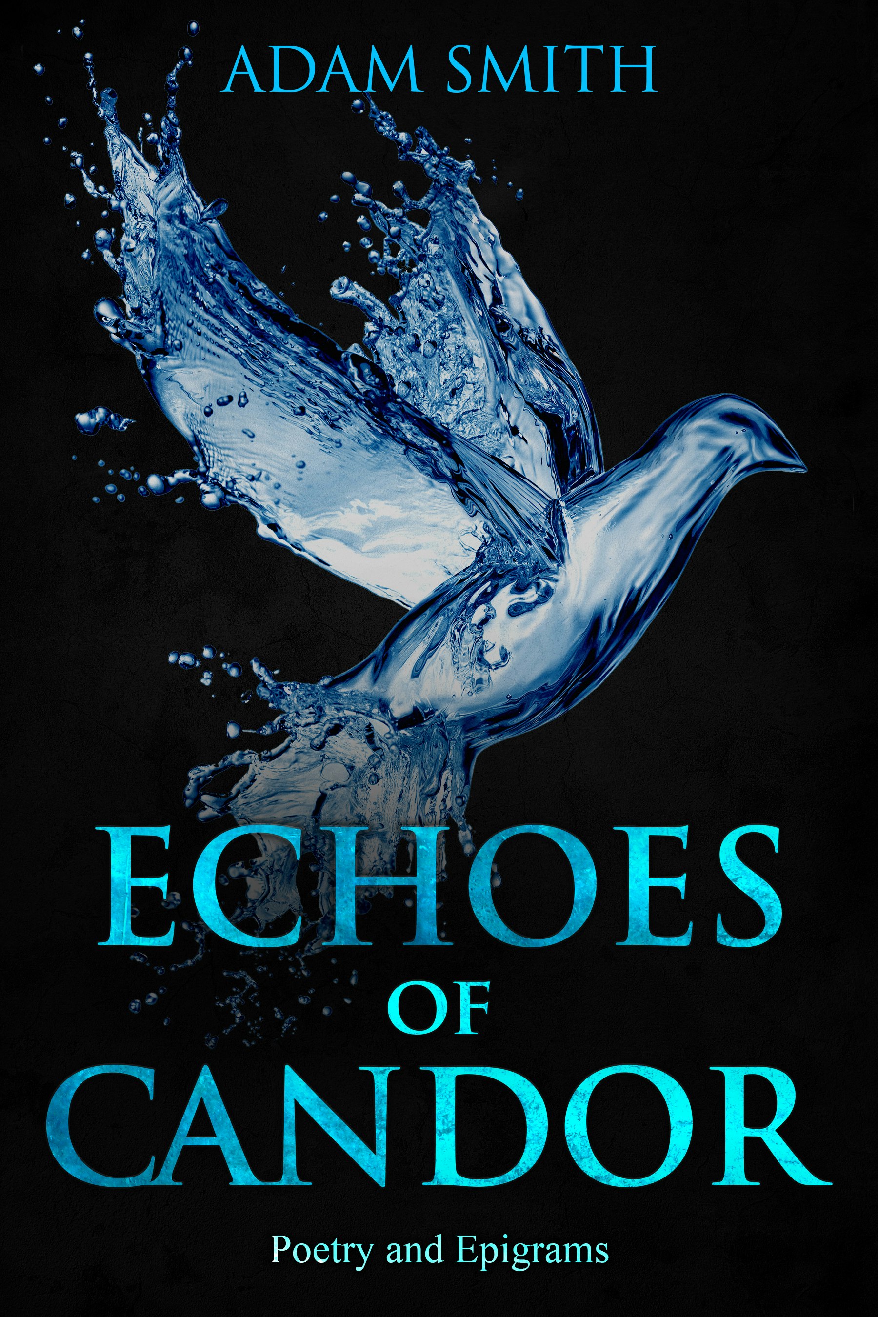 Echoes of Candor: Poetry and Epigrams