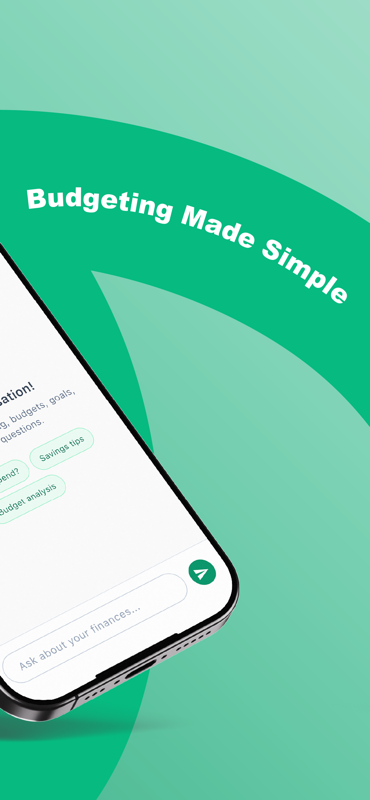 Brightly Budget: Money Coach gallery image