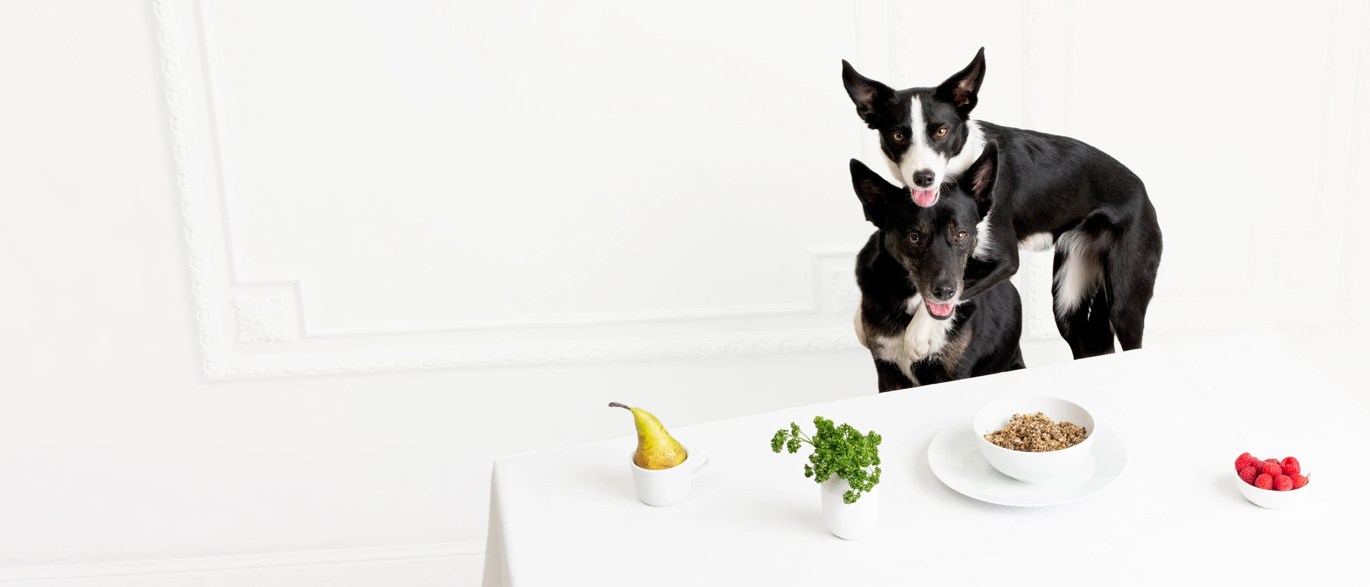 Arunas Matacius cover