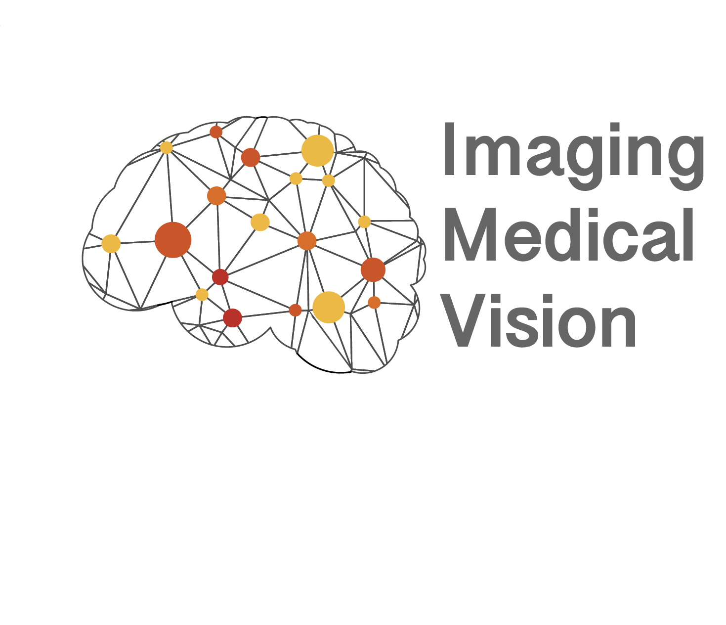 Imaging Medical Vision