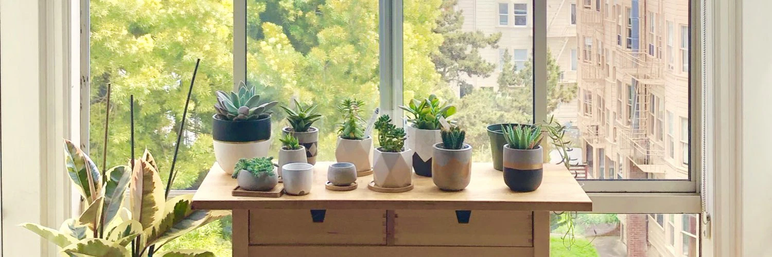 Kevin Danielson cover