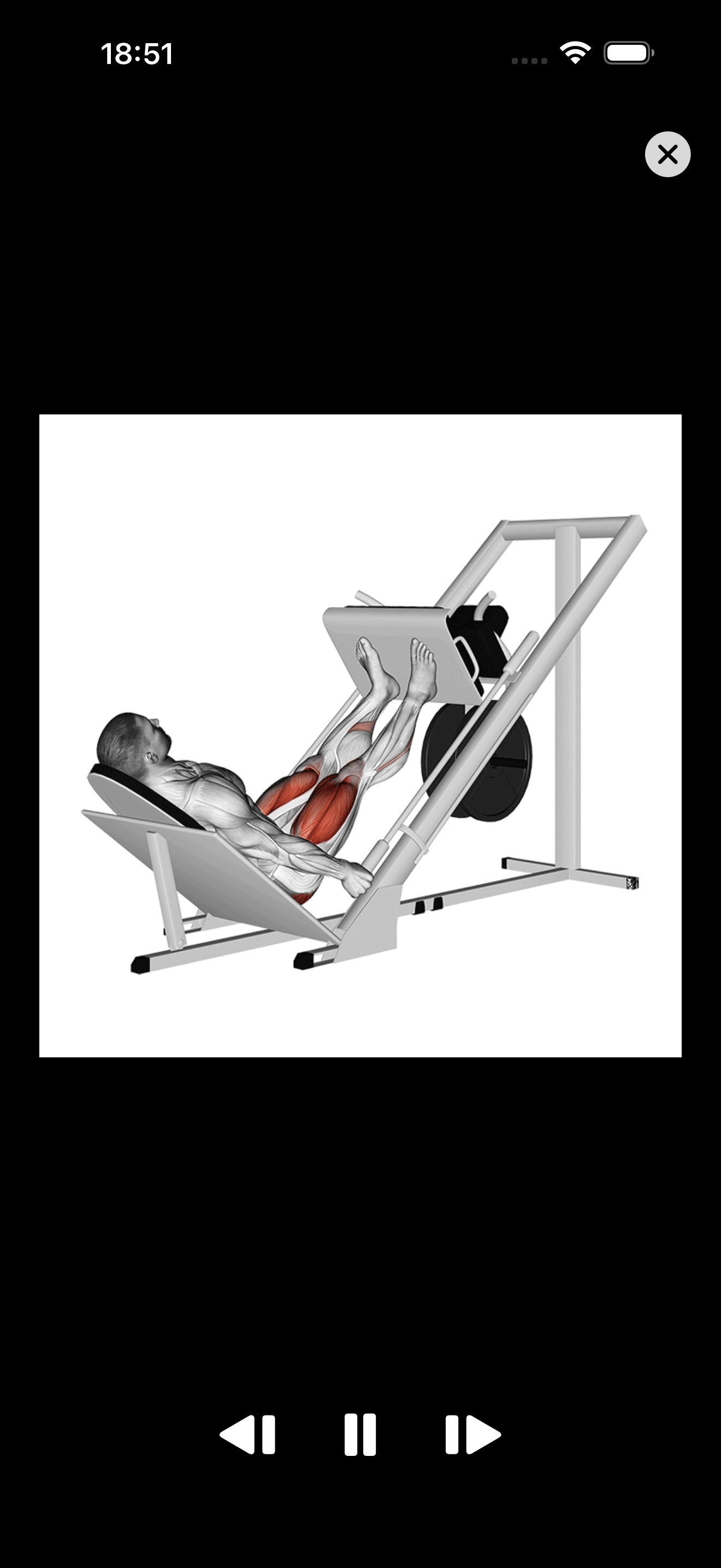 Trainer Gym AI gallery image