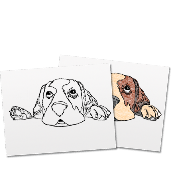 ReallyColor gallery image