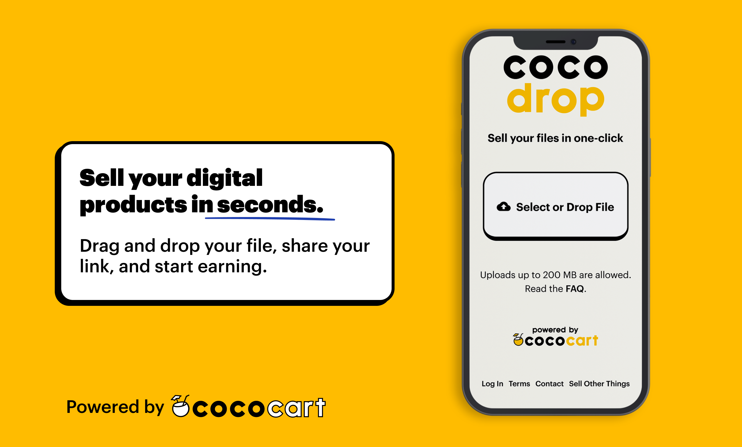 Cocodropa media 1