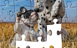 Real Jigsaw Puzzle media 3