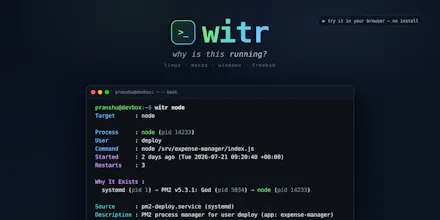witr gallery image