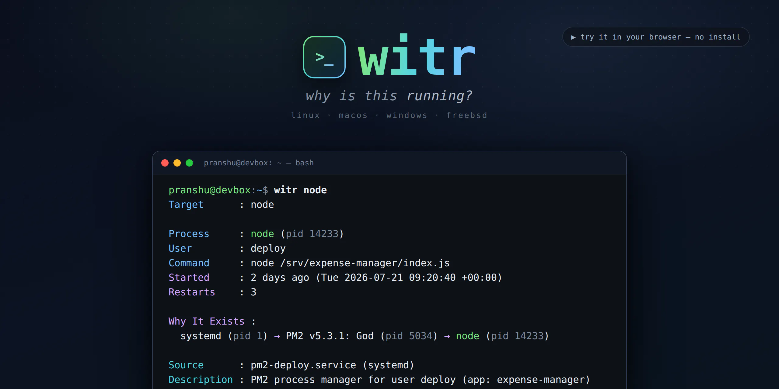 witr screenshot 1