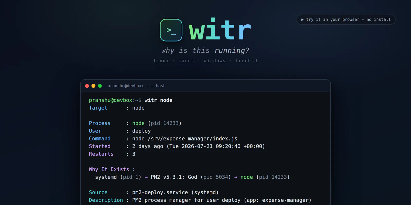 witr screenshot 2
