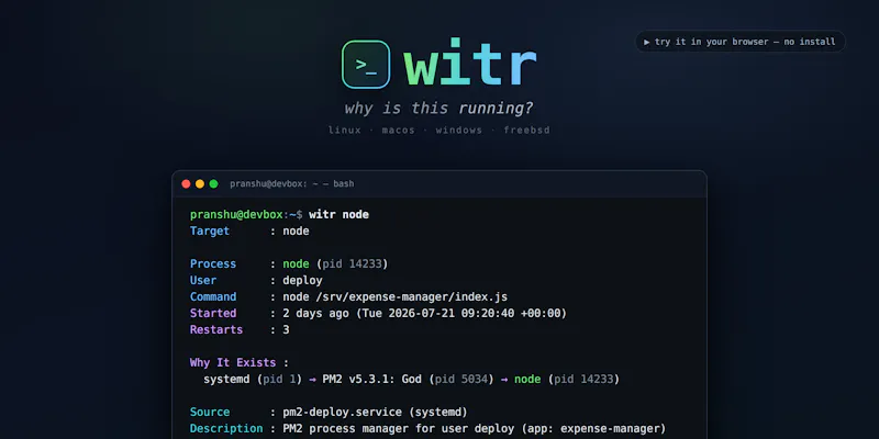 witr screenshot 2