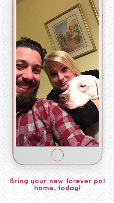 adopets gallery image