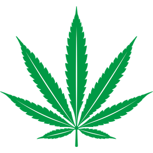 Cannabis Dispensary SEO