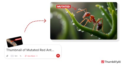 Style Match by Thumblify gallery image