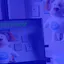 Lost and Found Object Detection