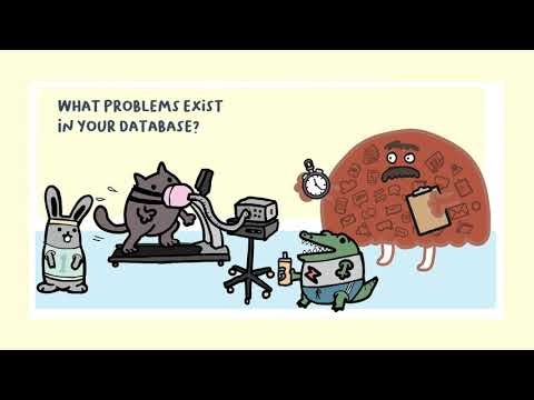 CRM Data Grader by Insycle gallery image