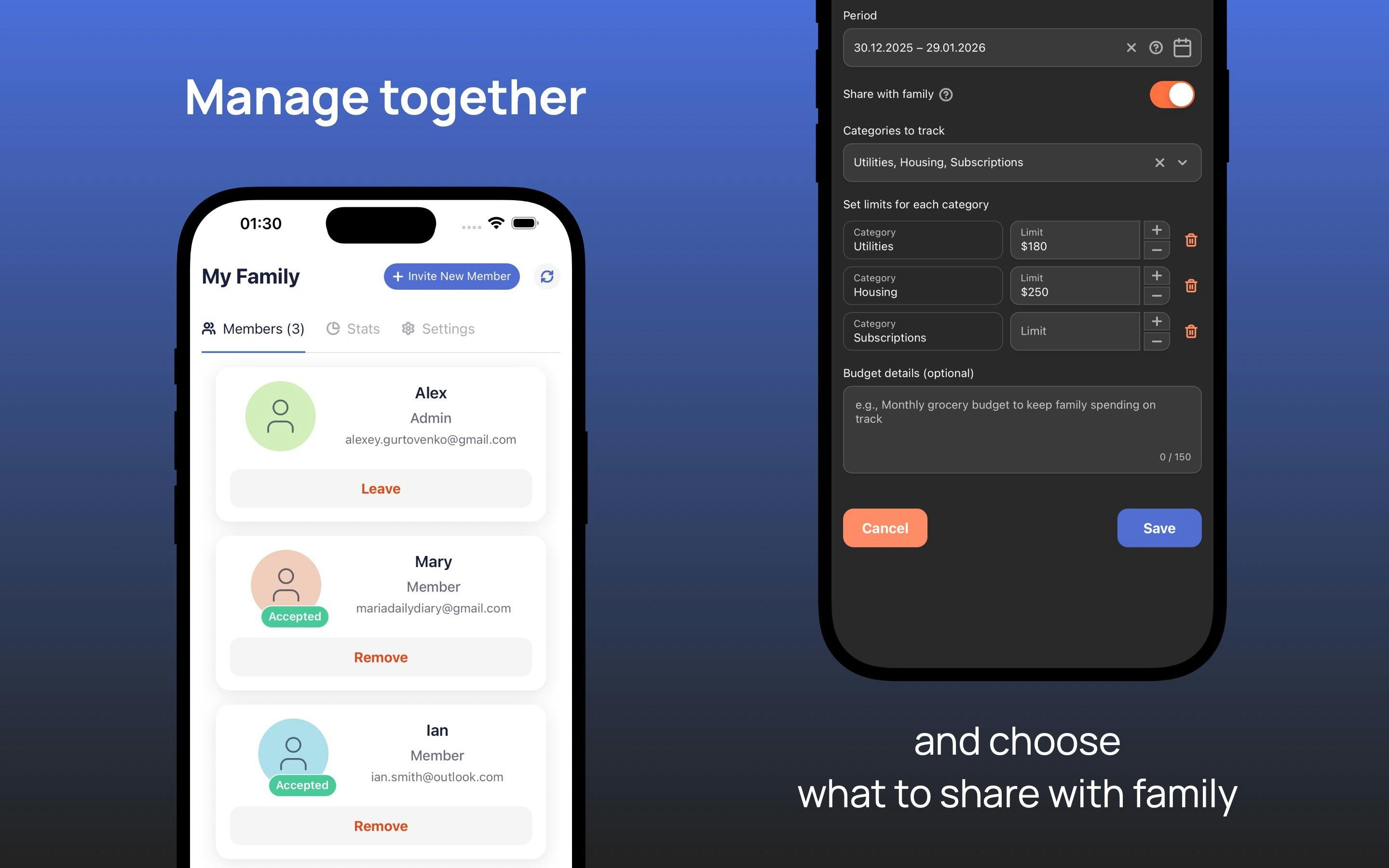 Budget Sync - Screenshot 3 showing product features and functionality