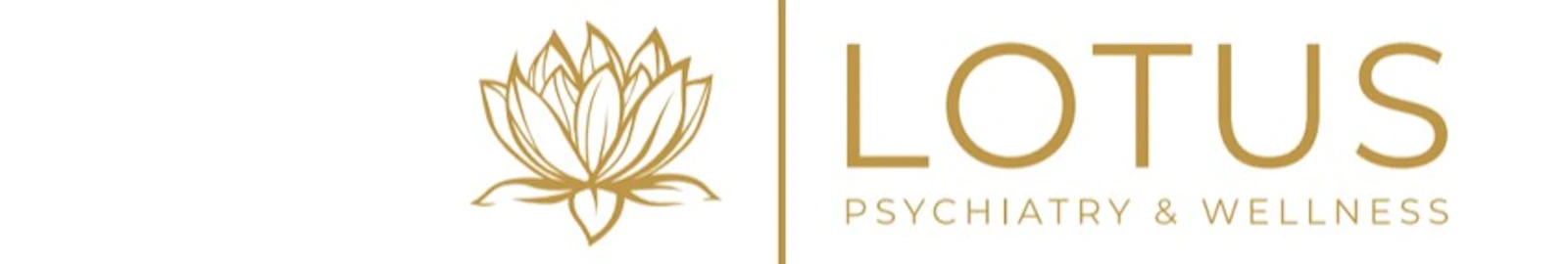 Lotus Psychiatry and Wellness screenshot 1