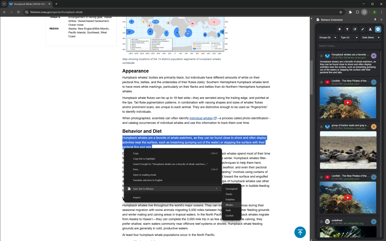 Extension de retrace media 4