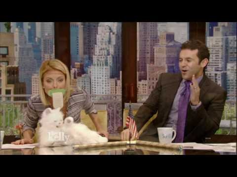 Licki Brush gallery image