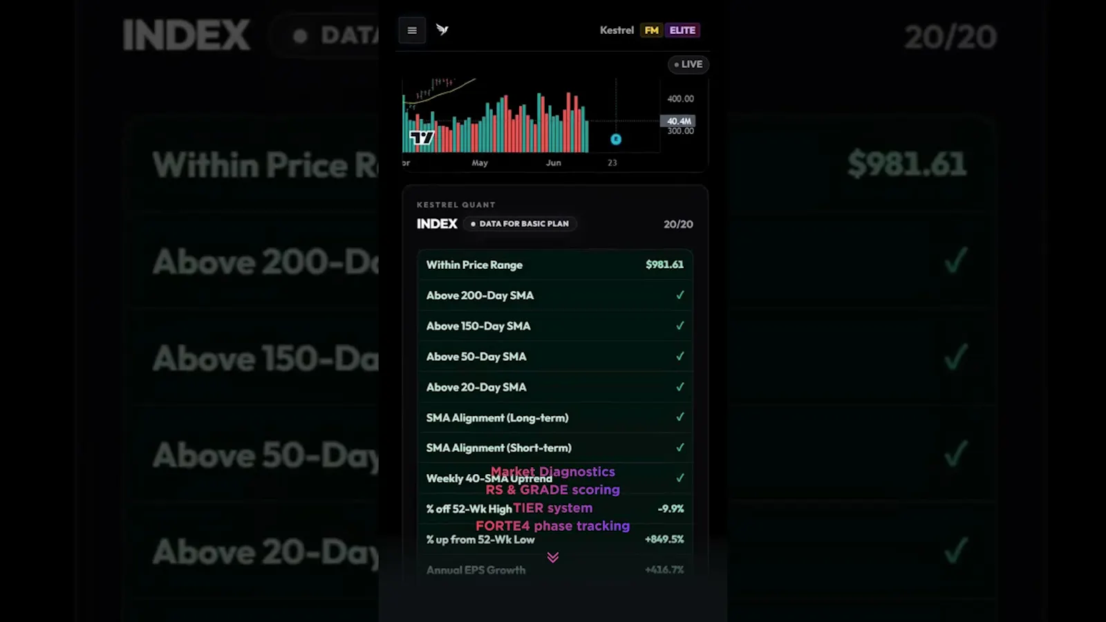 Kestrel Index screenshot 1 (video preview)