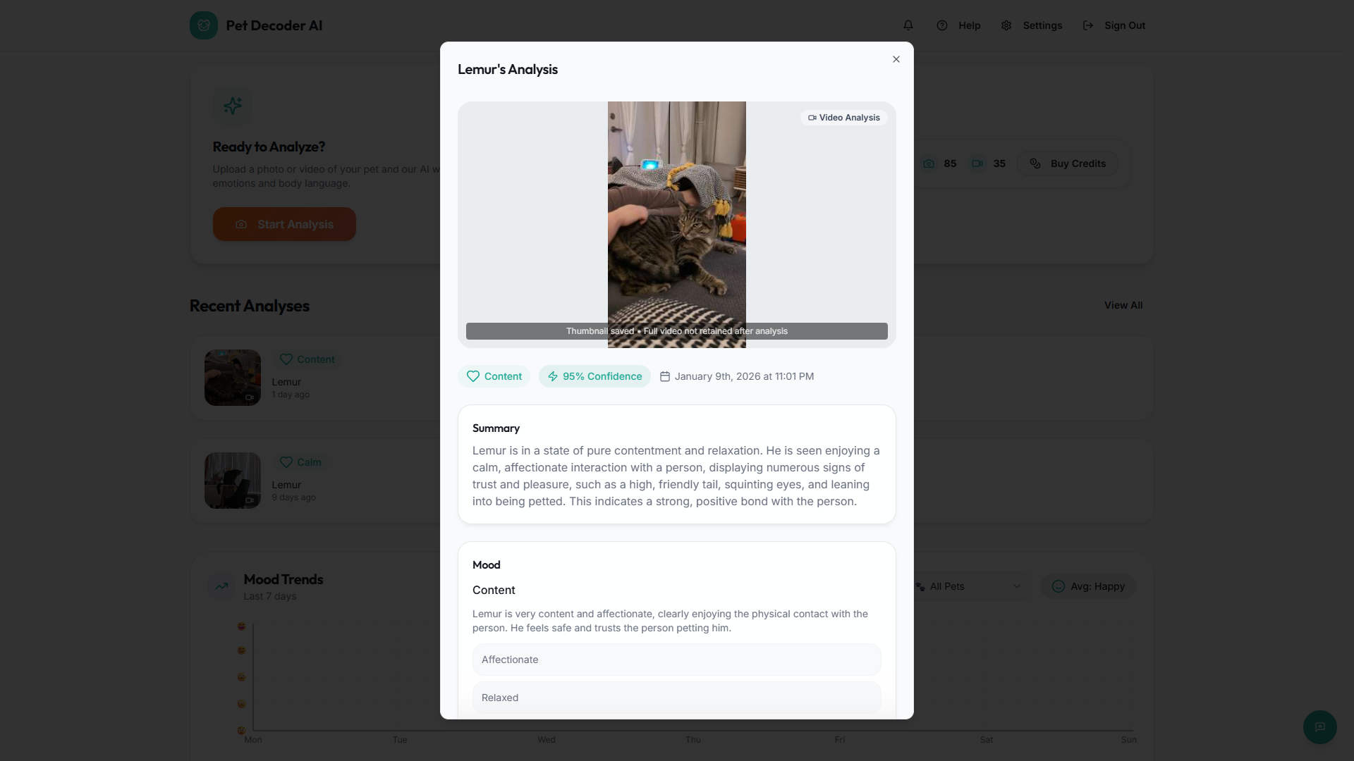 Pet Decoder AI - Screenshot 4 showing product features and functionality