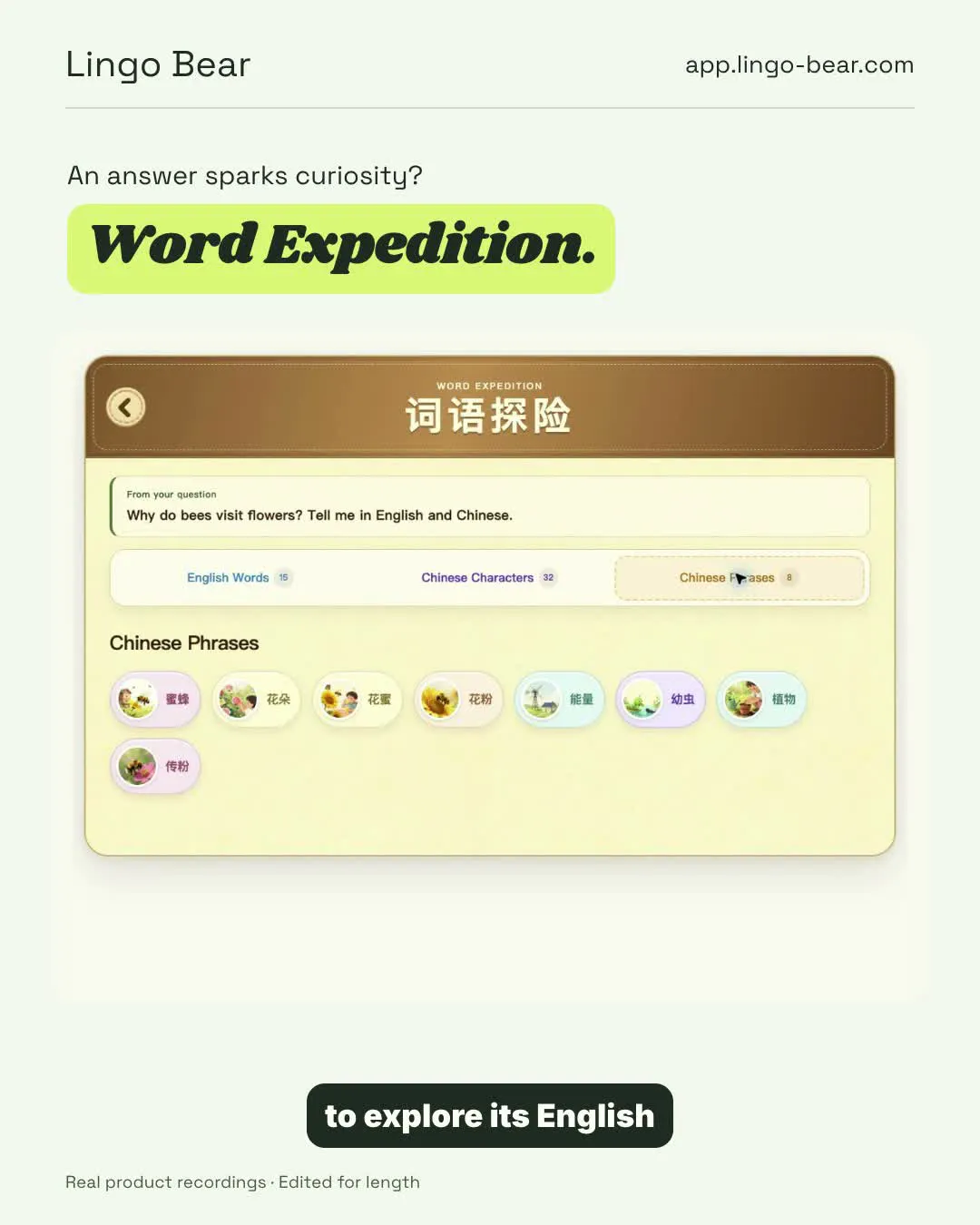 Lingo Bear gallery image